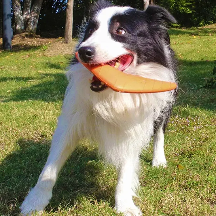 EVA Pet Dart: қауіпсіз және көңілді ит ойыншығын таңдауға арналған практикалық нұсқаулық
